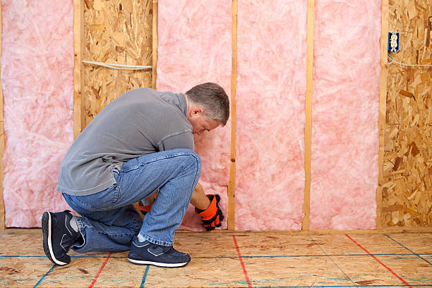 Best Insulation Maintenance and Repair in Marquette Heights, IL